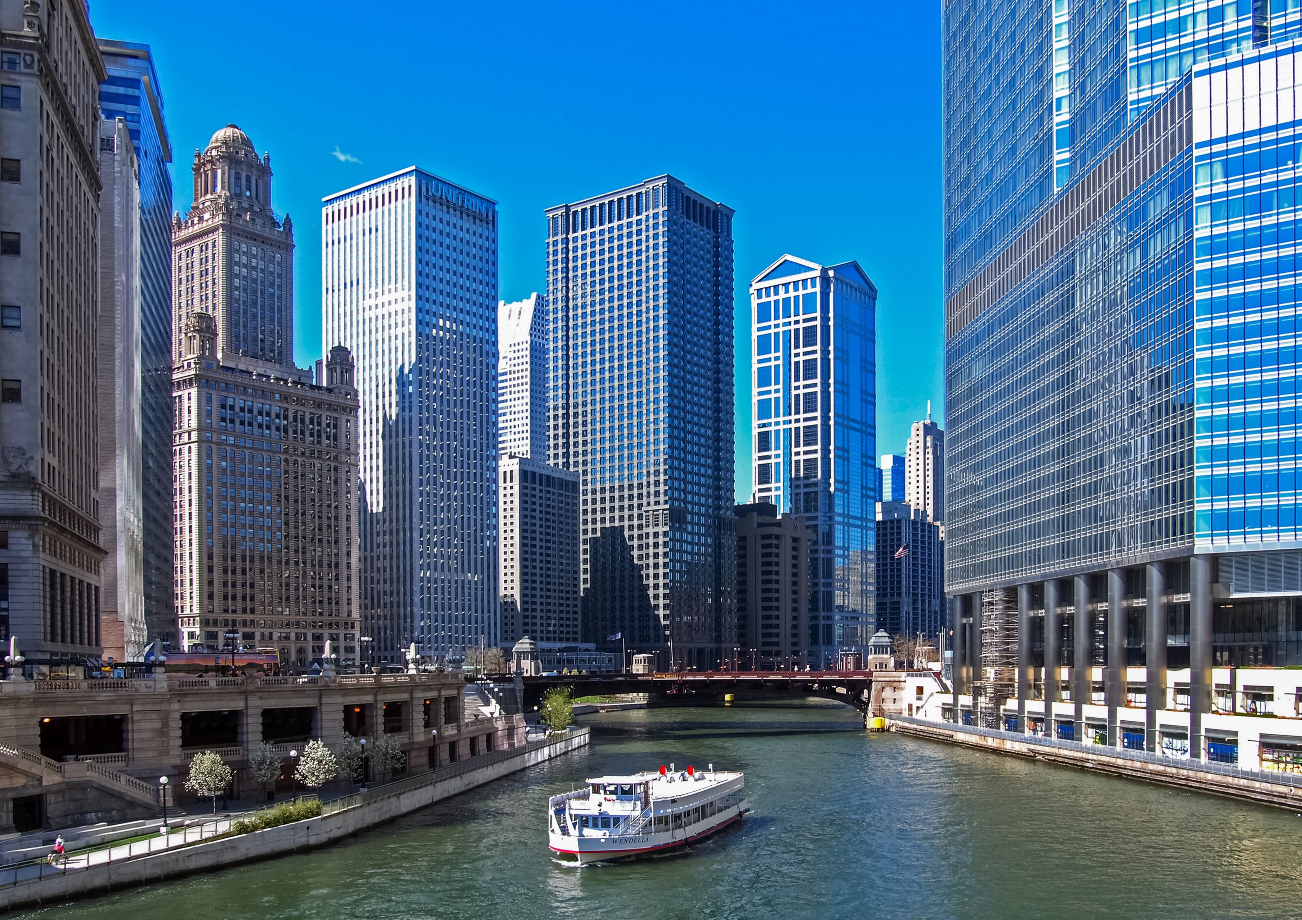 Immigration & Investment
