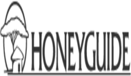 https://ideallawgroup.co.tz/wp-content/uploads/2025/04/HoneyGuide-BW.png