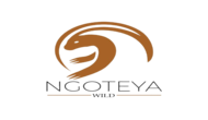 NGOTEYA-WILD
